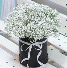 Цветочная композиция из Гипсофила в шляпной коробке #REPLACE_PRED# Тельме