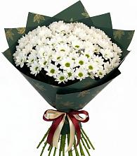 Букет цветов из:  Хризантемы #REPLACE_PRED# Тельме