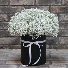Цветочная композиция из Гипсофила в шляпной коробке в Тельме