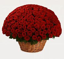 Премиум букет из: Розы в Тельме