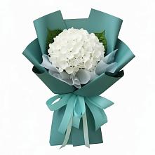 Букет цветов из:  Гортензия в Тельме